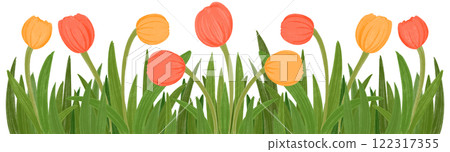 llustration of row of orange and red tulips 122317355