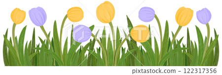 Illustration of row of yellow and purple tulips Illustration of row of yellow and purple tulips 122317356