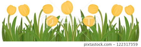 Row of yellow tulips 122317359