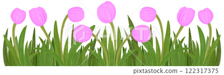Row of pink tulips 122317375