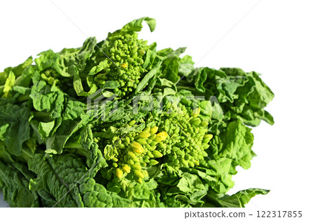 強姦開花 強姦開花 122317855