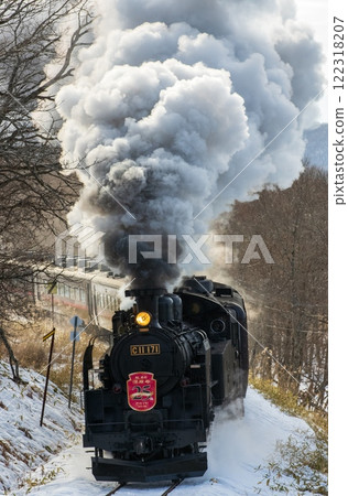 A steam locomotive spewing smoke and steam near Kushiro Shitsugen Station A steam locomotive spewing smoke and steam near Kushiro Shitsugen Station 122318207