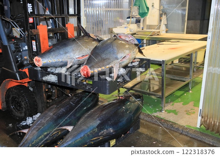Fresh bluefin tuna sold at auction Fresh bluefin tuna sold at auction 122318376