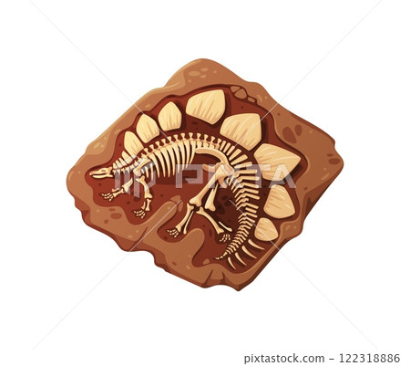 Dino fossil skeleton bones, dinosaur remains in a reddish rock, showcasing the intricate skeletal structure and prominent back plates. Isolated cartoon vector prehistoric and archaeological relic 122318886