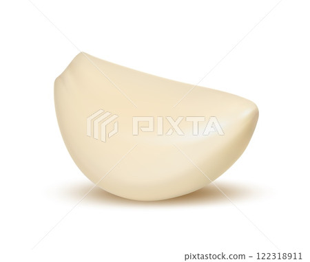 Realistic garlic clove peeled, isolated vegetable and spice ingredient in vector. Realistic garlic clove without peel for food cooking spice and seasoning, healthy and vegetarian organic nutrition 122318911