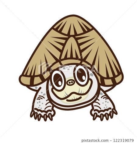 甲蟲龜 甲蟲龜 122319079