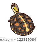 Semaruhako龜 Semaruhako龜 122319084