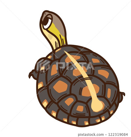 Semaruhako龜 122319084