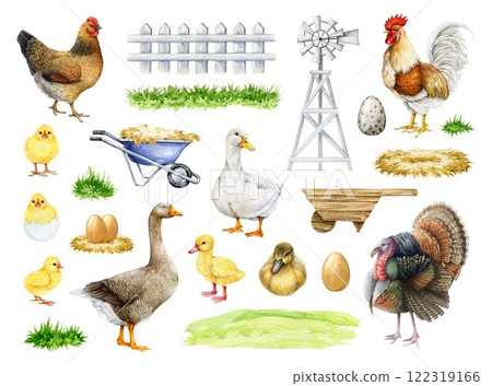 Domestic birds with farm elements watercolor illustration set. Hen, chicken, duck, goose, turkey and rooster painted collection isolated on white background. Cute farm bird vintage style painted set 122319166
