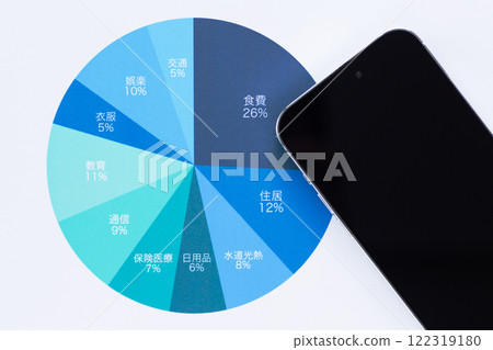 Monthly living expenses breakdown graph and smartphone 122319180