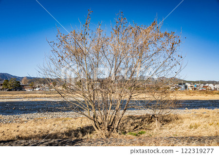 京都市嵐山冬景 122319277
