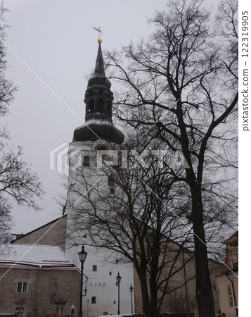 [Estonia] Virgin Mary's Cathedral in winter (Tallinn) 122319905