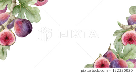 Hand drawn figs branch clipart with leaves watercolor frame isolated illustration. Hand drawn horizontal banner or label template with copy space. Summer fruits on twigs for tropical food designs Hand drawn figs branch clipart with leaves watercolor frame isolated illustration. Hand drawn horizontal banner or label template with copy space. Summer fruits on twigs for tropical food designs 122320020