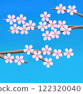 樹枝上盛開的櫻花和藍天的背景 122320040