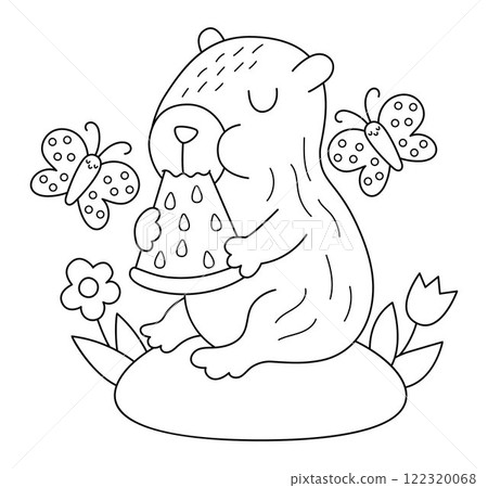 Vector black and white capybara illustration. Cute line scene with capibara sitting on flower clearing with butterfly, eating watermelon. Funny spring or summer scene, coloring page with animal Vector black and white capybara illustration. Cute line scene with capibara sitting on flower clearing with butterfly, eating watermelon. Funny spring or summer scene, coloring page with animal 122320068