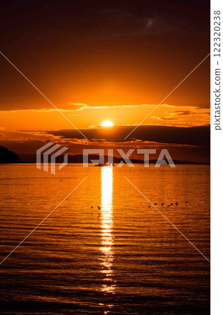 以夕陽為背景的多和島,海鳥在光路中飛翔「出現在《枕上書》、《伊勢物語》等平安時代書籍中」宇土市 以夕陽為背景的多和島,海鳥在光路中飛翔「出現在《枕上書》、《伊勢物語》等平安時代書籍中」宇土市 122320238