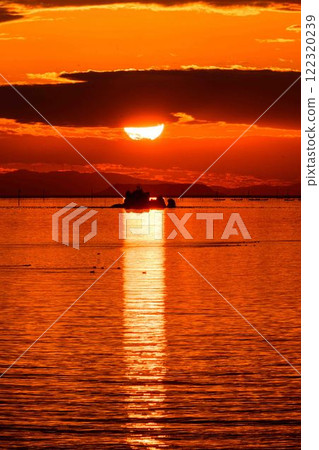 A seabird crossing the path of light on Tawarejima Island with the sunset in the background. "Appears in books from the Heian period such as The Pillow Book and The Tales of Ise" Uto City A seabird crossing the path of light on Tawarejima Island with the sunset in the background. "Appears in books from the Heian period such as The Pillow Book and The Tales of Ise" Uto City 122320239
