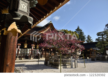 Kitano Tenmangu Shrine, worship hall and sacred tree "Tobiume" from the west corridor 122320302