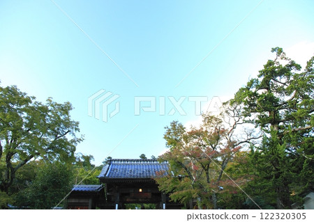 Yuzan Reflectance Reactor Yuzan Reflectance Reactor 122320305