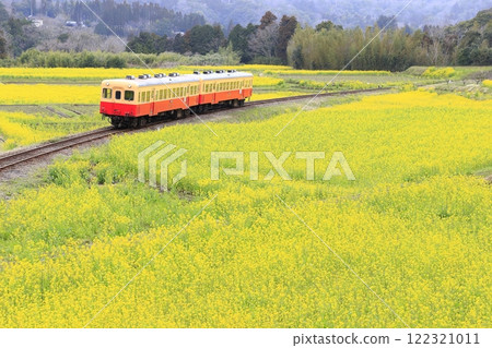 Spring Kominato Railway 122321011