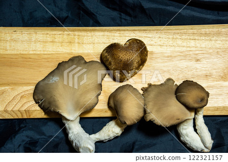 讓我們用心形香菇來烹飪吧 讓我們用心形香菇來烹飪吧 122321157