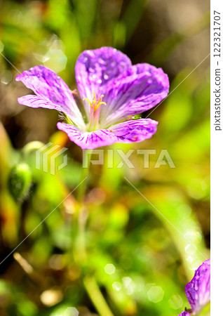 禦坂山脈的雪戶岳。 122321707