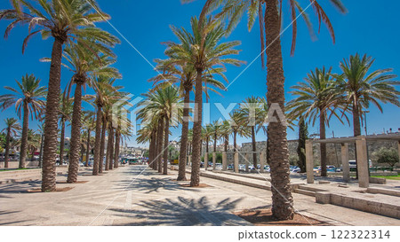 Palm trees on Alley Mish'ol HaPninim Garden leading to the Damascus Gate timelapse hyperlapse in Jerusalem Old City, Israel. 122322314