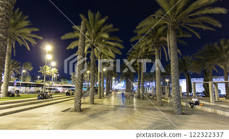 Palm Park in Jerusalem in the night timelapse hyperlapse Palm Park in Jerusalem in the night timelapse hyperlapse 122322337