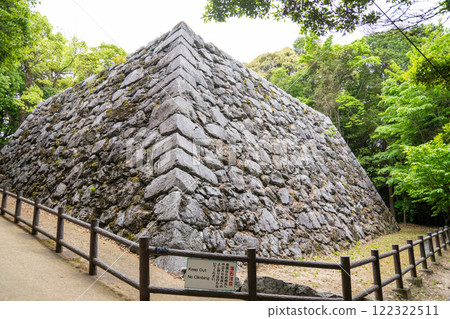 岩國城堡石牆，山口，日本，五月 122322511