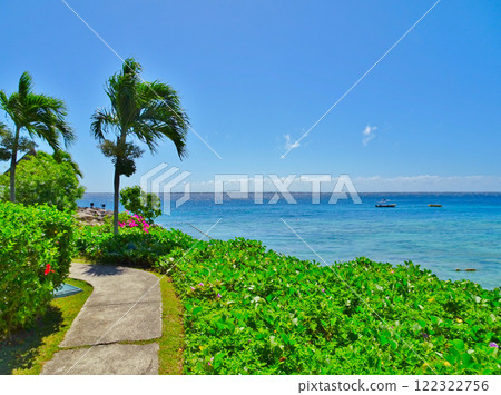 Tropical seaside walkway 122322756