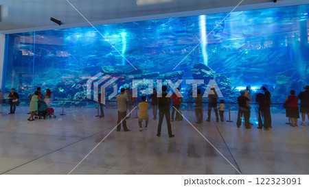 Aquarium in Mall - world's largest shopping mall in Dubai, United Arab Emirates timelapse hyperlapse 122323091