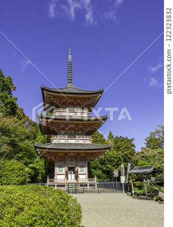 Shinzenji Temple (Shinguji Temple) Three-story Pagoda, Tarui Town, Gifu Prefecture Shinzenji Temple (Shinguji Temple) Three-story Pagoda, Tarui Town, Gifu Prefecture 122323832