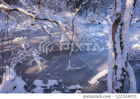 Frozen Swamp [Nagano Prefecture] 122324035