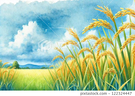 稻穗/稻田 122324447