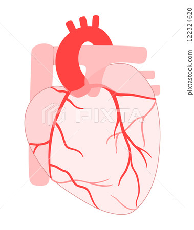 Illustration of a normal heart and coronary arteries Illustration of a normal heart and coronary arteries 122324620