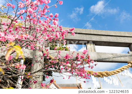 新年拜訪櫻花盛開 122324635