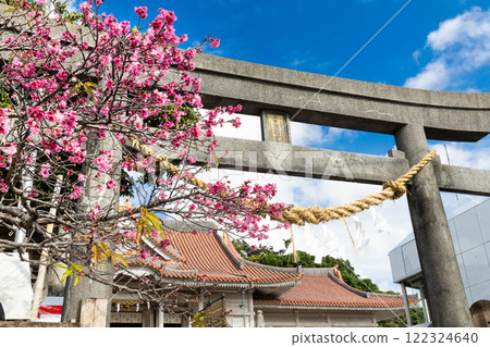 First visit to a shrine with cherry blossoms in bloom First visit to a shrine with cherry blossoms in bloom 122324640
