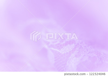 Lace/Beautiful background material 122324846
