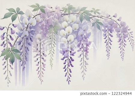 藤澤，紫藤花 122324944