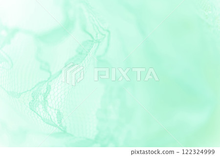 Lace/Beautiful background material Lace/Beautiful background material 122324999