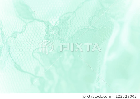 Lace/Beautiful background material 122325002