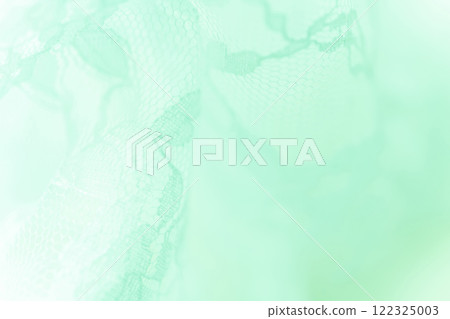 Lace/Beautiful background material 122325003
