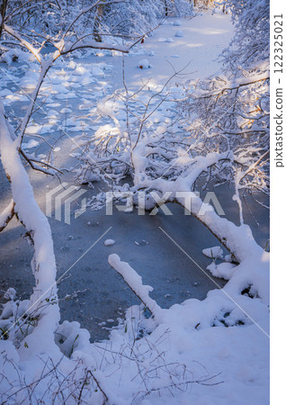 Frozen Swamp [Nagano Prefecture] 122325021