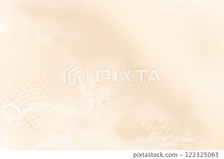 蕾絲/美麗背景素材 122325063
