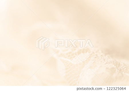 Lace/Beautiful background material 122325064