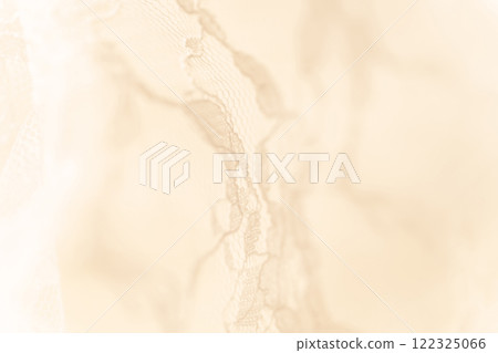 Lace/Beautiful background material 122325066