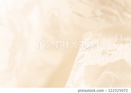 蕾絲/美麗背景素材 蕾絲/美麗背景素材 122325072