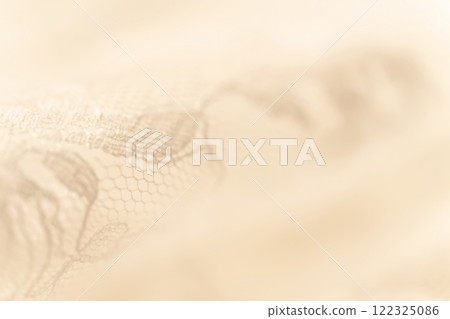 Lace/Beautiful background material Lace/Beautiful background material 122325086