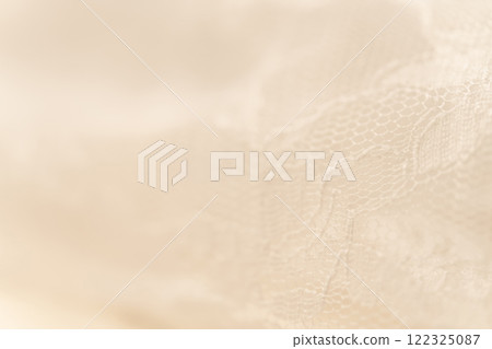 Lace/Beautiful background material 122325087