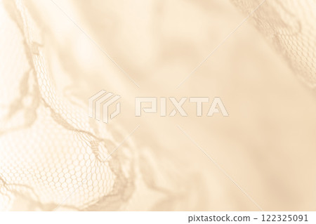 Lace/Beautiful background material 122325091